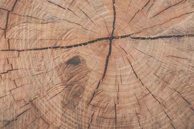 معرفی انواع چوب برای درب ضد سرقت